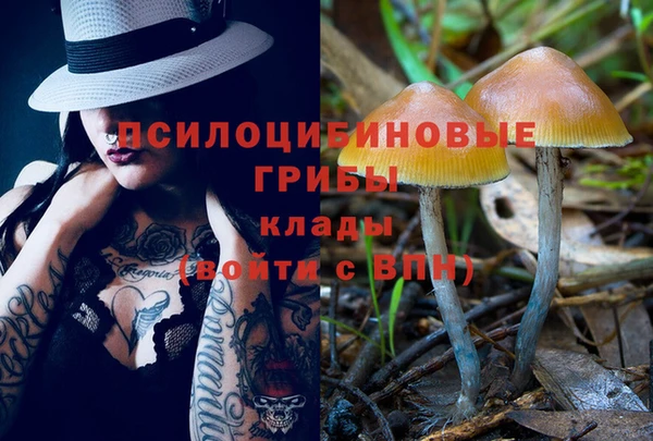 индика Красноперекопск